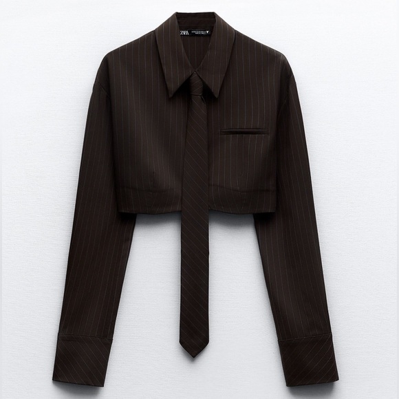 Zara Brown Stripped Cropped Shirt with Removable Necktie - Picture 3 of 5